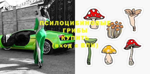 спайс Аркадак