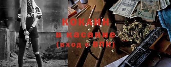прущие грибы Алзамай